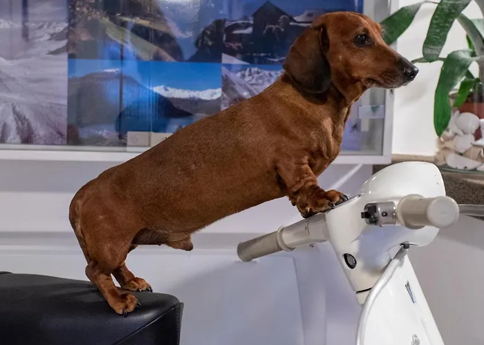 Tarabella 3* フォルテ・デイ・マルミ