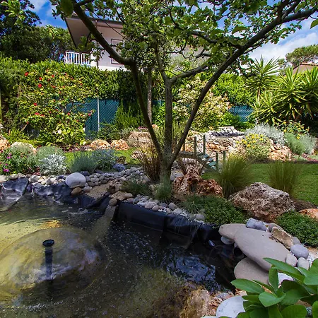 Hotel Tarabella Forte dei Marmi